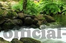 成人女子视频-成人女子视频，社会现象与文化反思