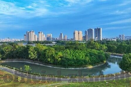 麻豆短视频app-别让麻豆短视频禁锢你的视野——一场当代文化与科技误解的反思