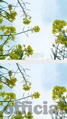 麻豆视频免费在线播放-丰富内容，拒绝刻板——新时代下的网络娱乐态度