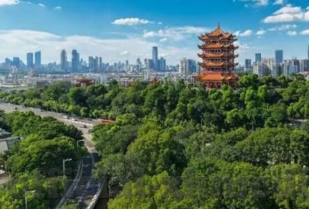 美国发布发站大象传媒-探索美国发布发站大象传媒的背后，创新与挑战并存的媒体新纪元