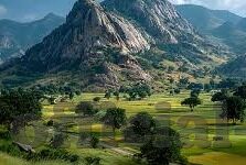 糖心app免登录下载-一键获取，掌握糖心APP的无登录下载方法