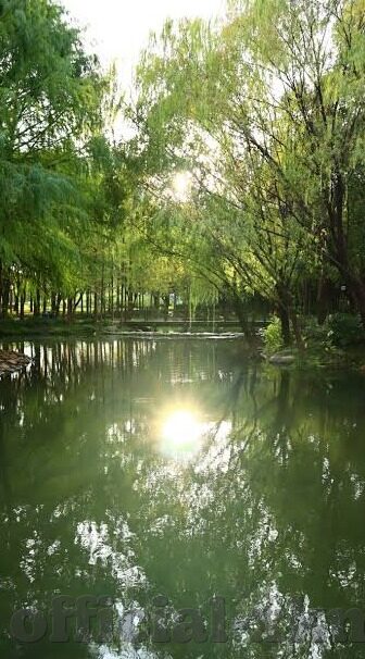 糖心app苹果测试版-探索糖心APP苹果测试版，用户体验与功能创新的边界