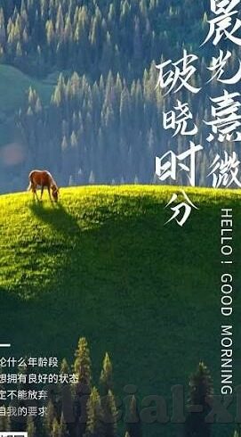 糖心视频免费看app-探索免费影视应用的利弊——以糖心视频为例