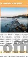 糖心vlog怎么下载-如何轻松下载糖心vlog，实用指南