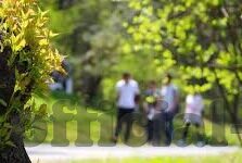 中国内地拍的伦理片-探索中国内地伦理片，人性与道德的细腻交织